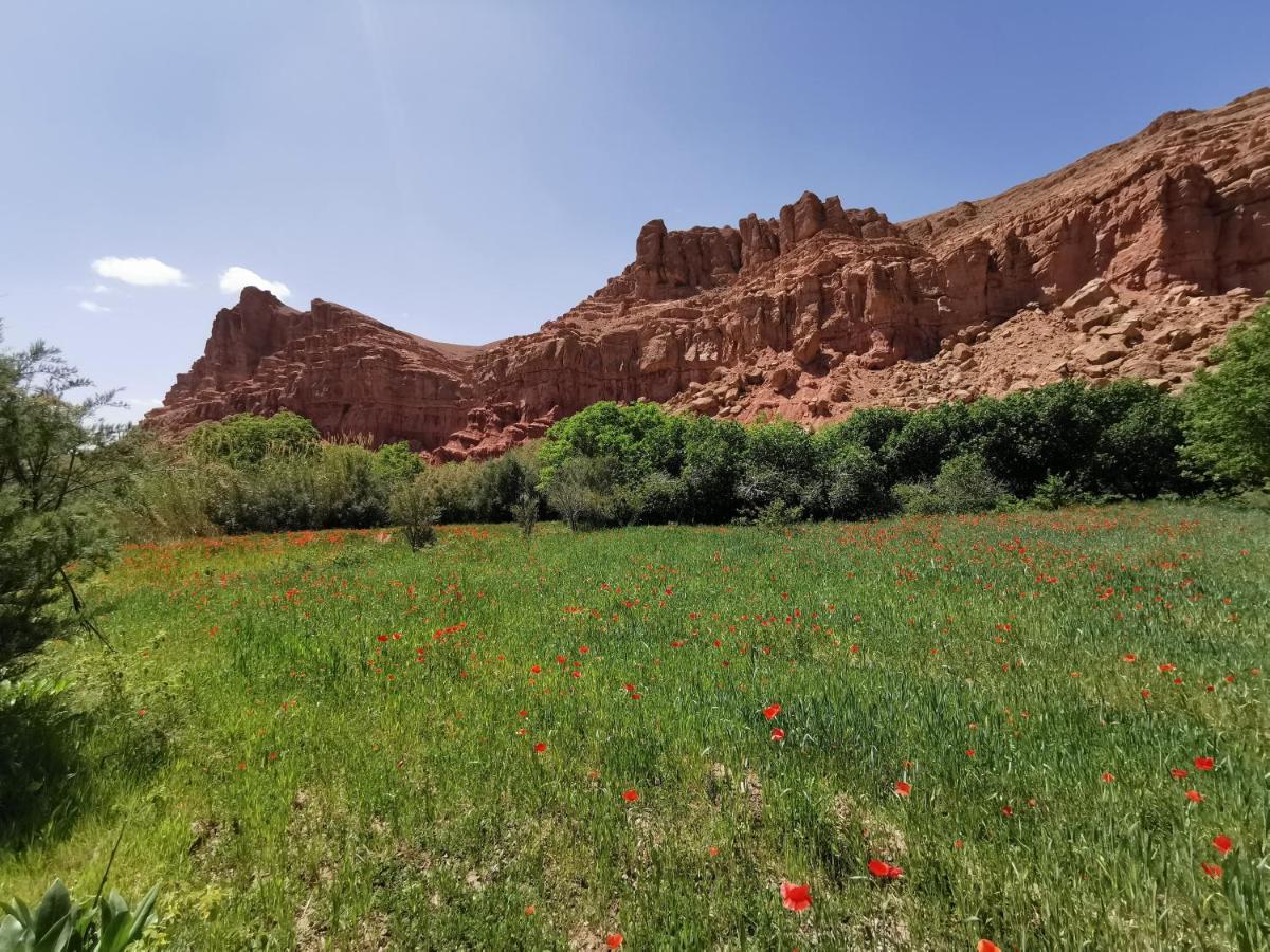Bab El Atlas Kelaat-M'Gouna Kültér fotó