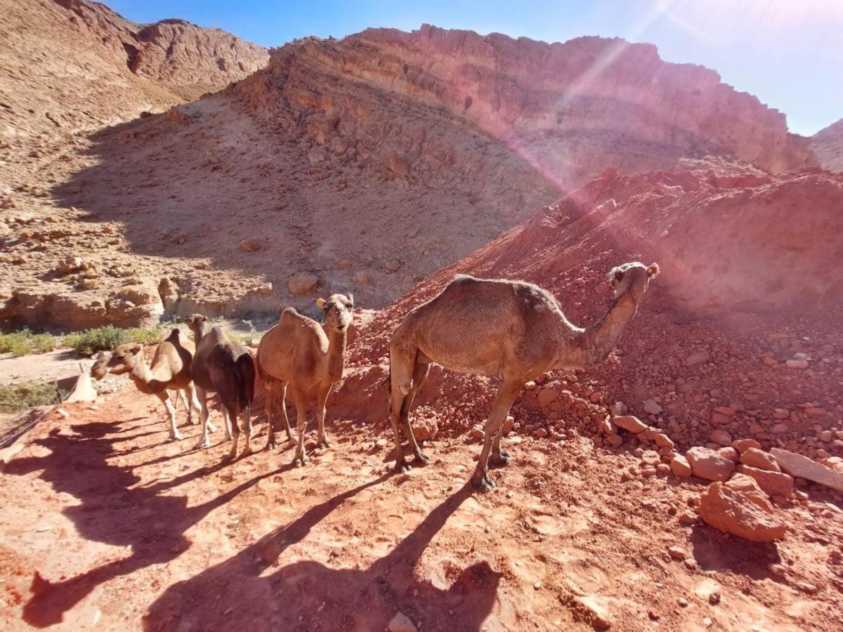 Bab El Atlas Kelaat-M'Gouna Kültér fotó